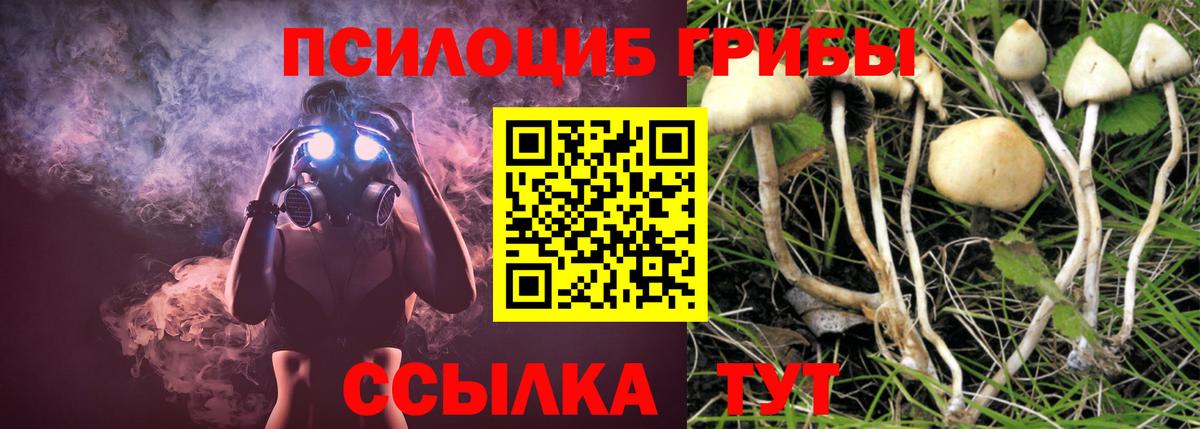 Галлюциногенные грибы MAGIC MUSHROOMS  Вход с VPN  Клин  Псилоцибиновые грибы Psilocybe 
